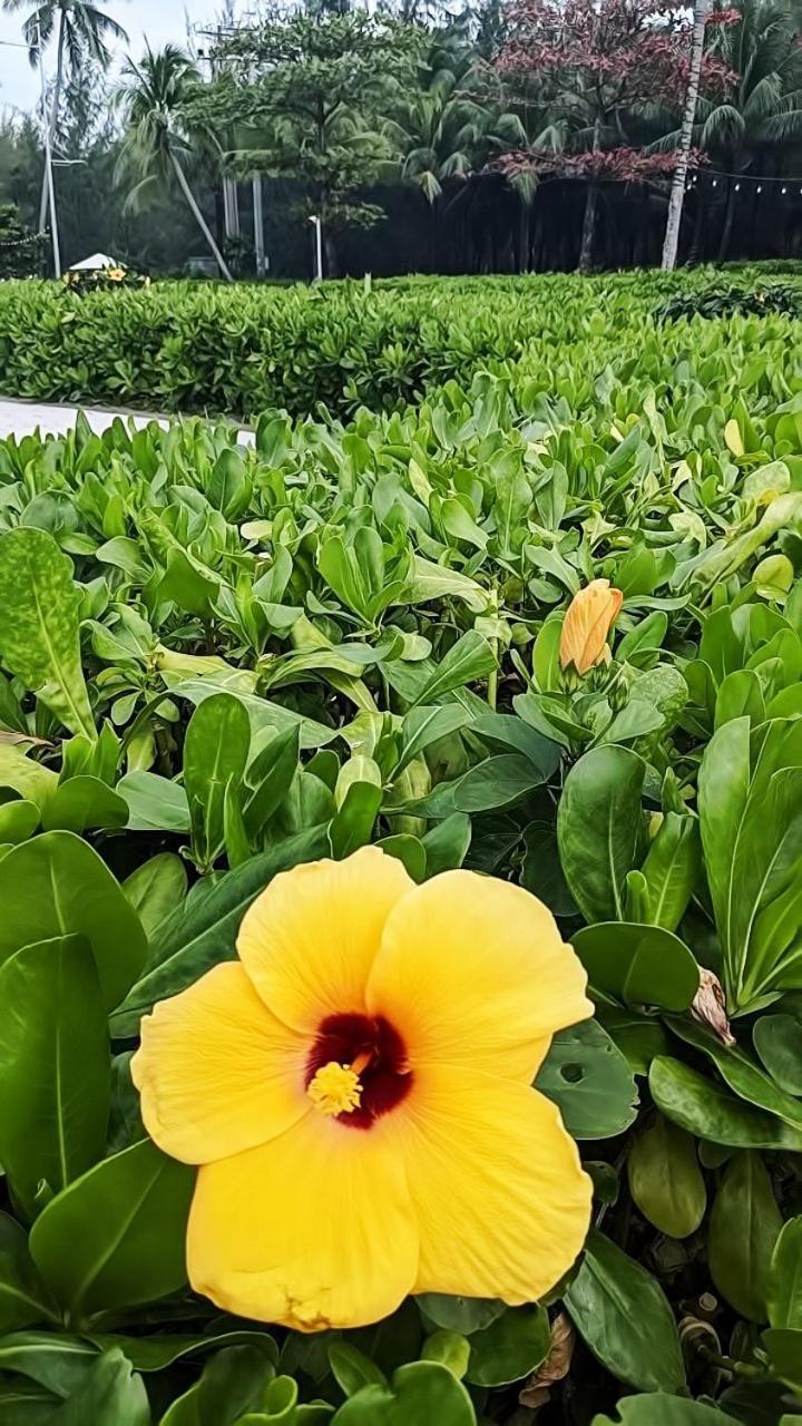 Anna Beach Phú Quốc Exterior foto